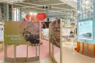 Planetary Health in München: Ausstellung am 29. Juli