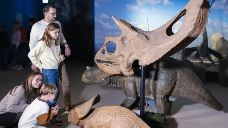 Eine Familie betrachtet interessiert lebensgroße Dinosaurier-Modelle und ein Fossil in einem Museum.