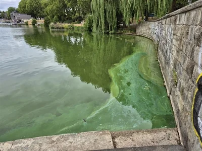 Blaualgen im Aasee: Stadt Münster warnt vor Kontakt mit Wasser