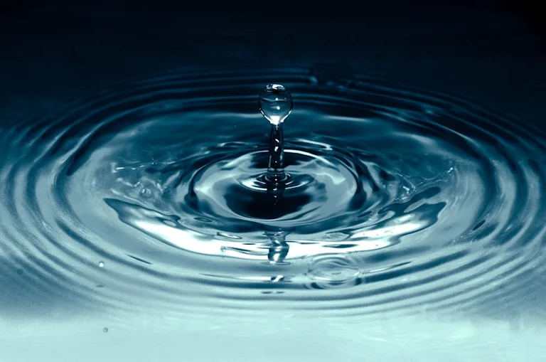 Dreisam in Freiburg: Neues Betretungsverbot bei Niedrigwasser