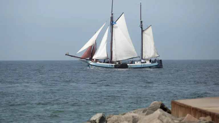 Hanse Sail 2026: Ihr Plan für das maritime Wochenende in Rostock