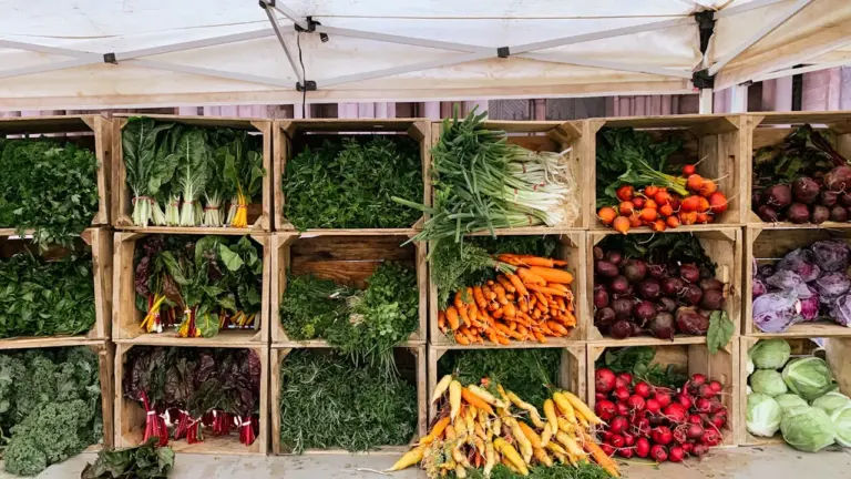 Kiels Bauern- und Regionalmarkt: Drei Tage, Eintritt frei