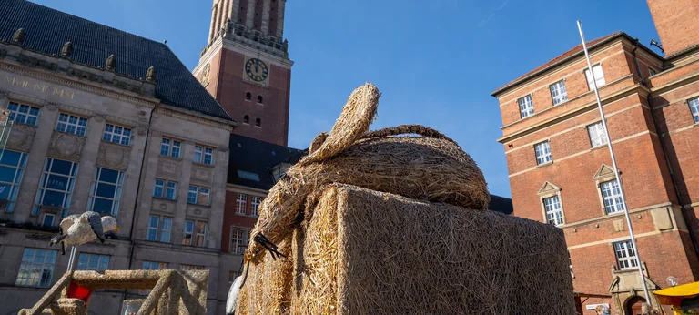 Kiels Bauern- und Regionalmarkt: Drei Tage, Eintritt frei