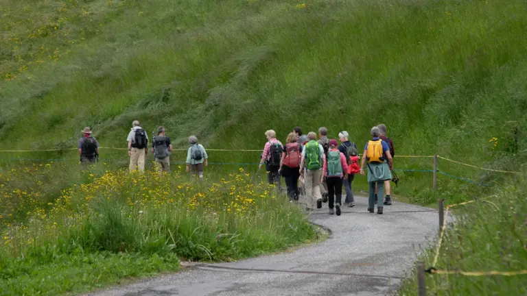 Kostenloser KI-Walk bringt Neugierige in Ulm zusammen: what residents need to know