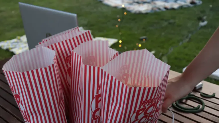 PlatzKultur Kiel am 29. August: Picknick und Open-Air-Kino