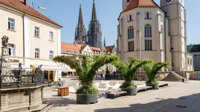 Regensburg begrünt den Neupfarrplatz – Schatten braucht Zeit