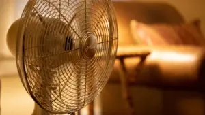 Ein weißer Standventilator sorgt in einem gemütlichen Wohnzimmer für angenehme Abkühlung an heißen Tagen.