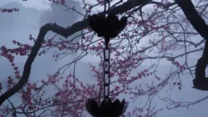 Eine poetische Regenkette vor blühenden Kirschblütenzweigen in einer mystischen, nebligen Atmosphäre.