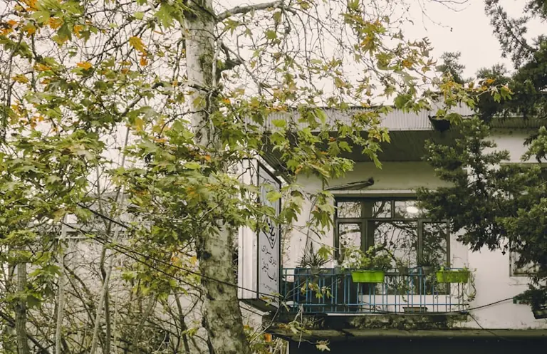 Balkon im Herbst: Pflanzen und Gebäude richtig schützen