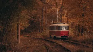 Ein rot-weißer Zug fährt durch einen stimmungsvollen herbstlichen Wald in Deutschland.