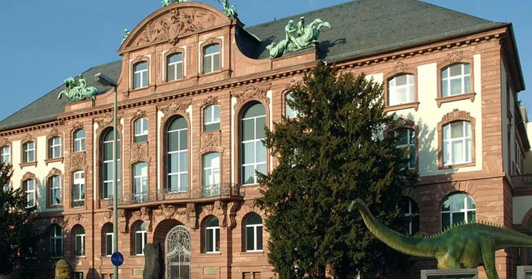 „Secret Service“ in Frankfurt: Naturforschung ab 25. September