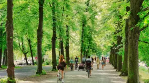 Menschen beim Radfahren und Spazierengehen auf einem baumgesäumten Weg im Leipziger Park.